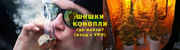 шишки Белоозёрский
