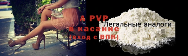 шишки Белоозёрский