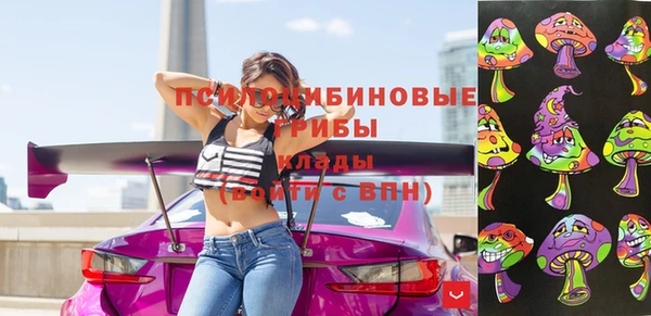 дурь Богородск