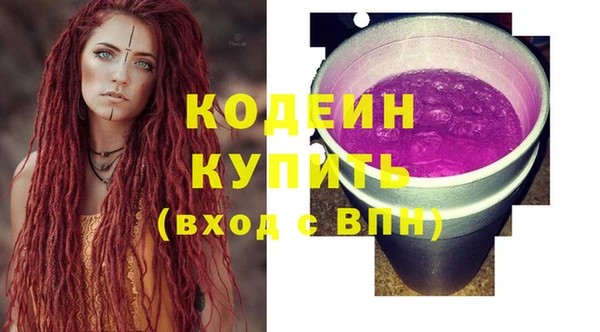 шишки Белоозёрский