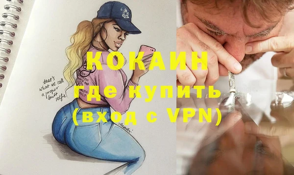 шишки Белоозёрский