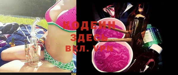 шишки Белоозёрский