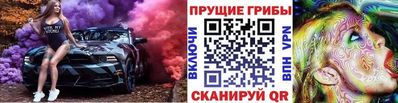Галлюциногенные грибы GOLDEN TEACHER Купить закладки Морозовск